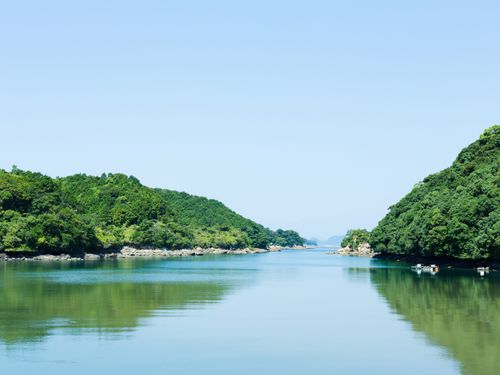 九十九島の奥深い入り江が生き物たちを育む