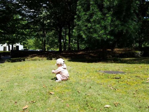 活動場所の１つの植村直己冒険館の公園。芝生でのびのびと。
