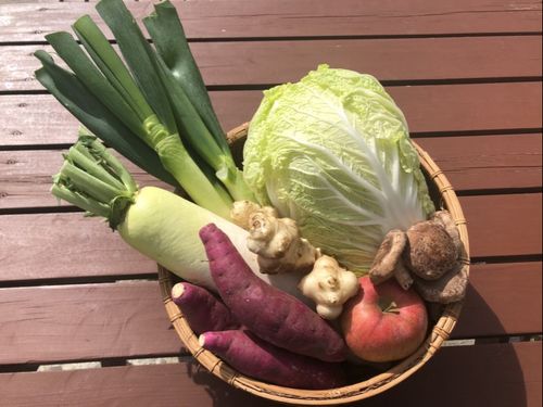 秋冬野菜のイメージ
