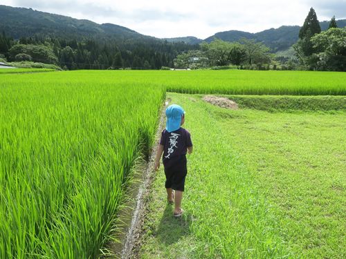 畔道を歩く様子◎集落を一緒に歩いてみませんか？