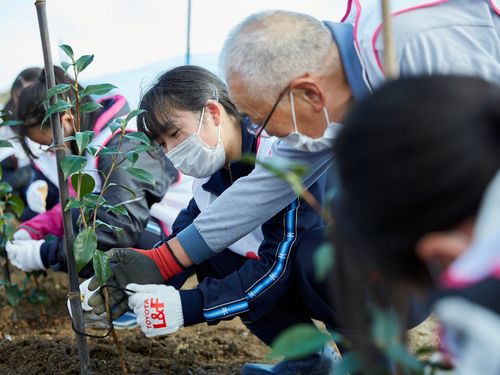 地域のお手伝い体験の一例（椿の植樹）