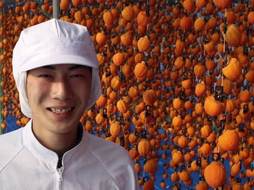 農業2年目矢野さん（喬木村）