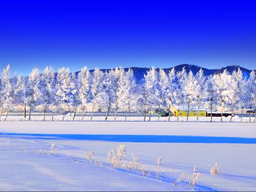 冬の栗山町の風景