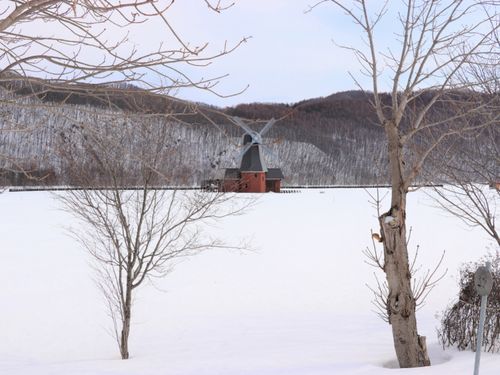 オフシーズンのチューリップ公園。雪の下には球根がびっしり植えてあります。