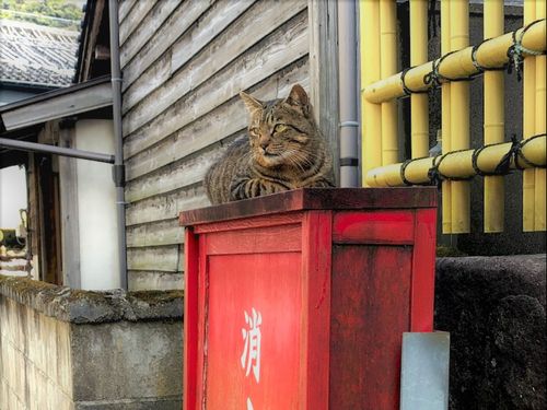 路地裏休憩中