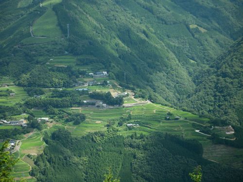 広大な村を駆け回る司書が、今必要なんです