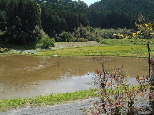 目の前には田園風景が広がります。