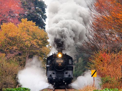 紅葉の時期の真岡鉄道