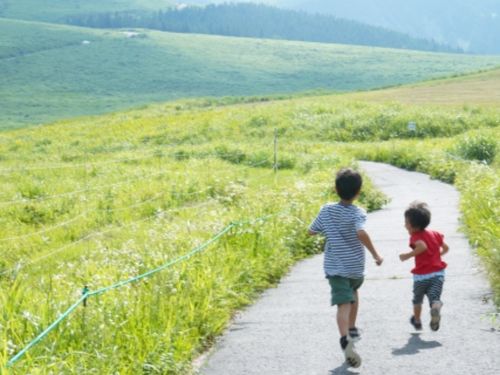 見渡すかぎりの緑