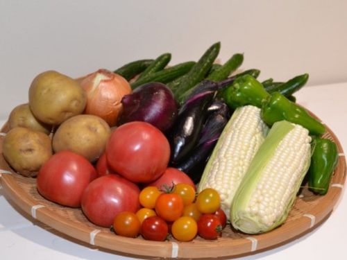 野菜本来の味がすると評判の西会津ミネラル野菜