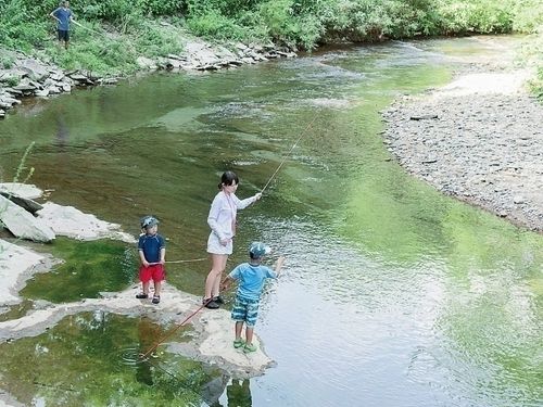 清流日本一の川で川遊び。混み合うことがなくプライベート空間で思う存分、川遊びができます。