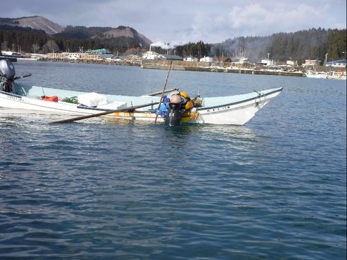 ウニ漁の様子