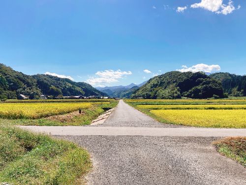 琴浦町には谷が多く、気持ちのいい一本道の景色は最高です！