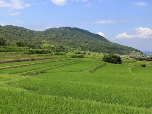湖西線と琵琶湖が！