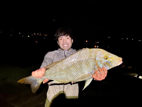 三宅島に移住して1年になる地域おこし協力隊がなんでもお答えいたします！
