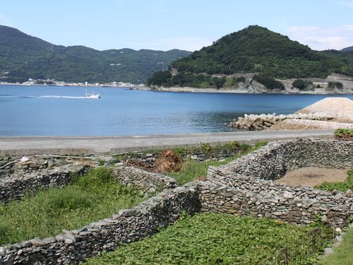 井野浦石垣畑（学芸員）