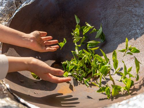 大きな釜で茶の葉を炒る、釜炒り茶。地域は驚くほどの「手作り」にあふれています。