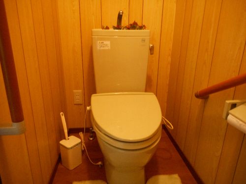 トイレはリフォーム済。水洗、洋式トイレです。