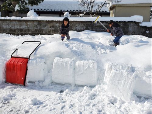 たくさん積もった日には雪遊びも楽しめます