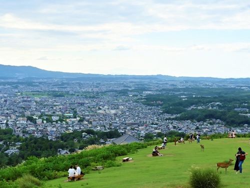 奈良でしかできない生き方を一緒に実現しましょう！