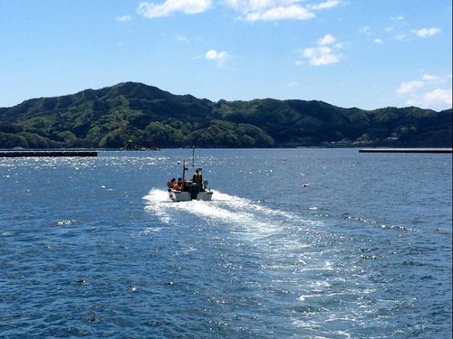 大槌湾へ出航する様子