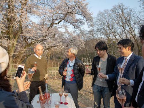 桜の下でロゼワインの花見を実施。日常を楽しむ仕掛けづくりもしています。人柄にも遊びにも漂う品の良さが寄居町の魅力の１つです。