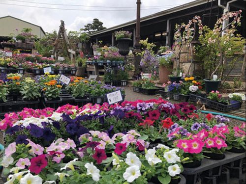Gardening shop akaza