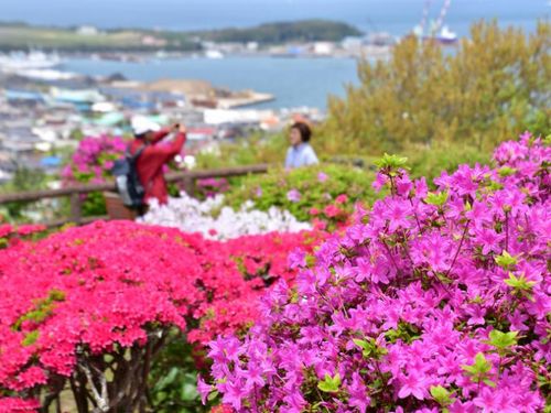 館山の自然