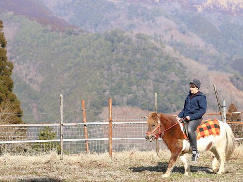 お宿によって異なる様々な体験ができるのも特徴です。