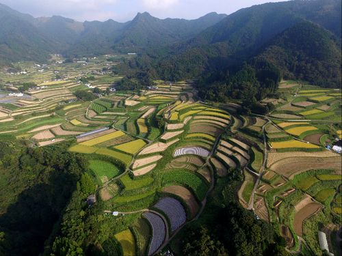 険しい山の中に切り開かれた棚田が続く里山の風景が訪れた人たちの心を奪います。