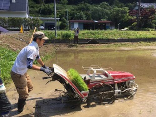 引佐地域での活動例2