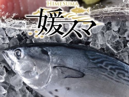 媛スマ