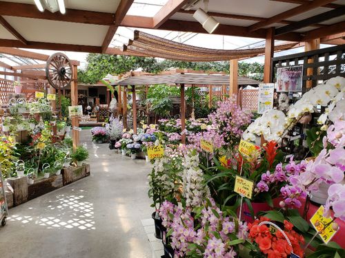 併設する花き販売所