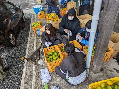 県内外の大学生が参加してくれました！