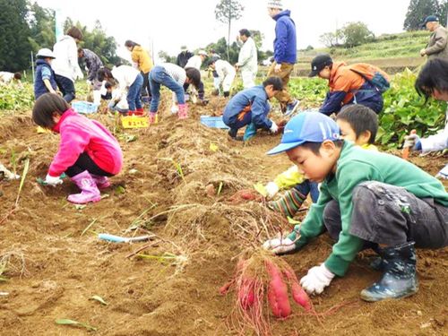 自然に囲まれた子育て環境