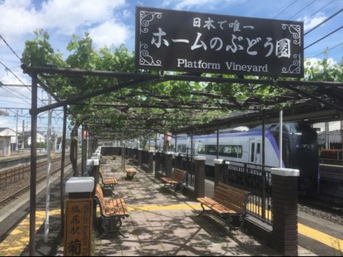 塩尻駅ホームの葡萄棚（画像：塩尻市観光協会HPより）