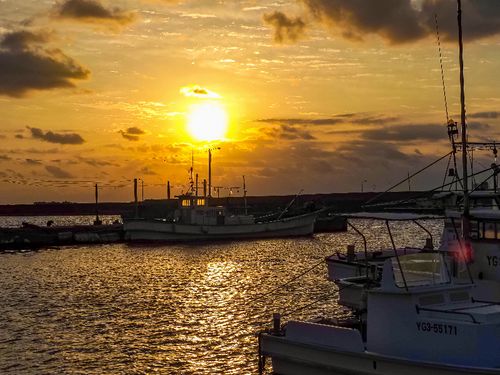 萩漁港に水揚げされる地物魚介類は約250種！
