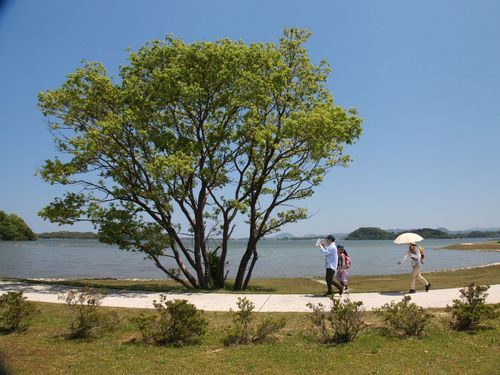 日本一大きな池といわれる湖山池までは車で20分弱！近くに温泉街も♨