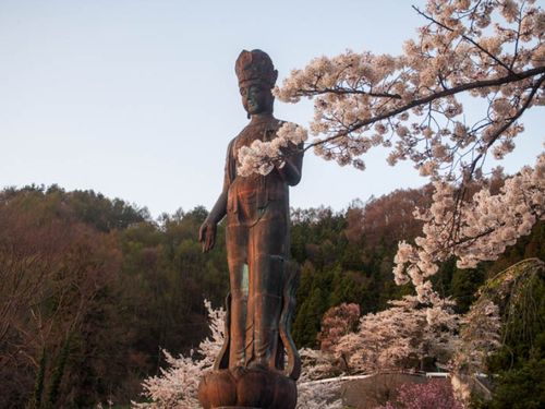 山ノ内町のシンボル平和観音像と桜