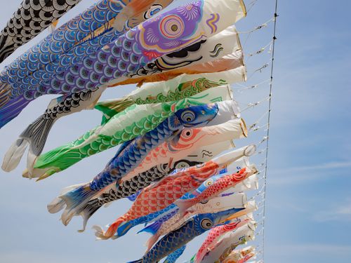 春の風物詩、歴舟川に泳ぐ鯉のぼり