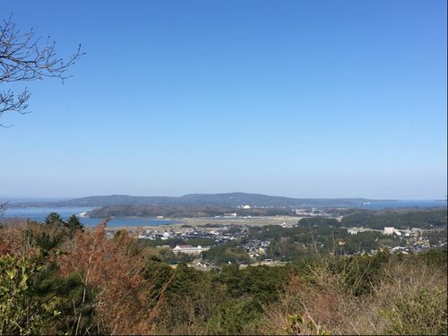 田鶴浜地区は水鳥たちの観察スポットとしても人気