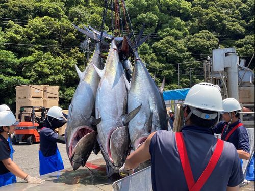 経験がなくても、積極性があれば大丈夫！