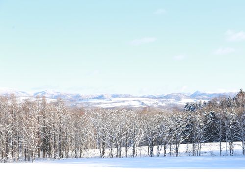 冬はぐっと寒くなりますが、パウダースノーで雪質は世界トップレベル！ダイヤモンドダストも日常的に見れます！