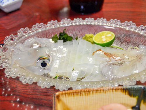 須佐の海をのびのびと泳ぎ適度な弾力を持った肉質が魅力のケンサキイカ