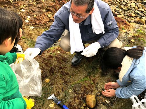 「六島親子プチ島暮らし体験」島の磯の達人と一緒に磯遊び