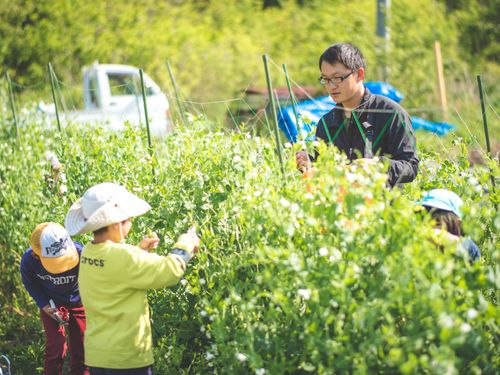 新規就農者となった移住者さん