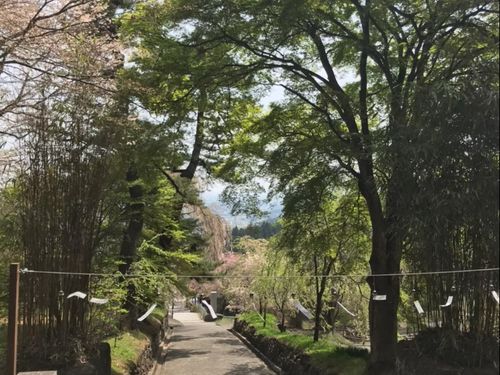 「まちなか暮らし」と「里山暮らし」どちらも選べます