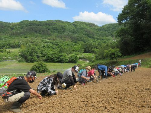 地域のみんなで作業
