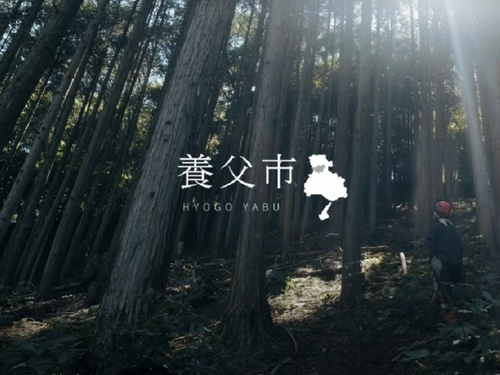 02⁻好奇心の向かう先-