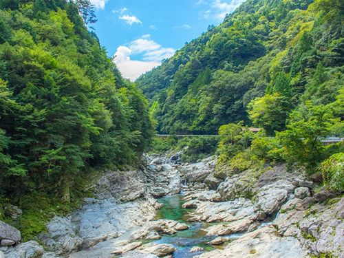 「ちっちゃいけれど、日本一豊かで幸せな村」を目指してみませんか？